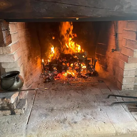 Vite In Rosa La Casetta *