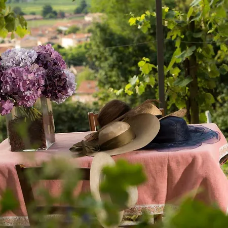 Vite In Rosa La Casetta Holiday home *